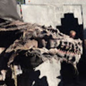 Meet your Posher, Lorie